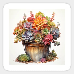 Succulent Bucket Watercolour Artwork Sticker